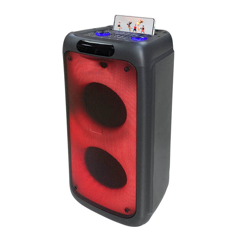 TL-2802 Bluetooth party karaoke DJ speaker