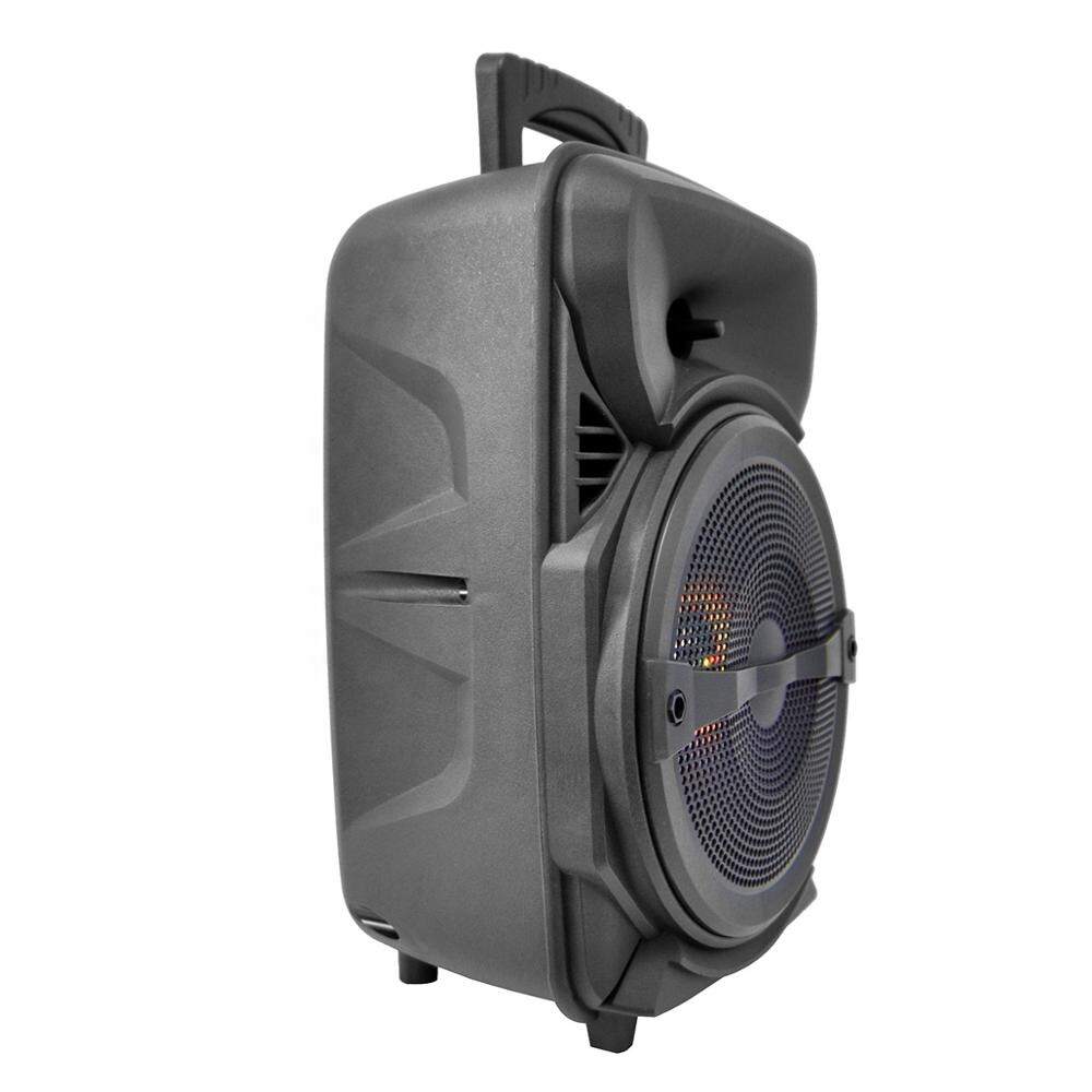 TL-8019 Cool RGB lighting portable wireless bluetooth outdoor 8' loud hifi sound heavy bass party karaoke speaker