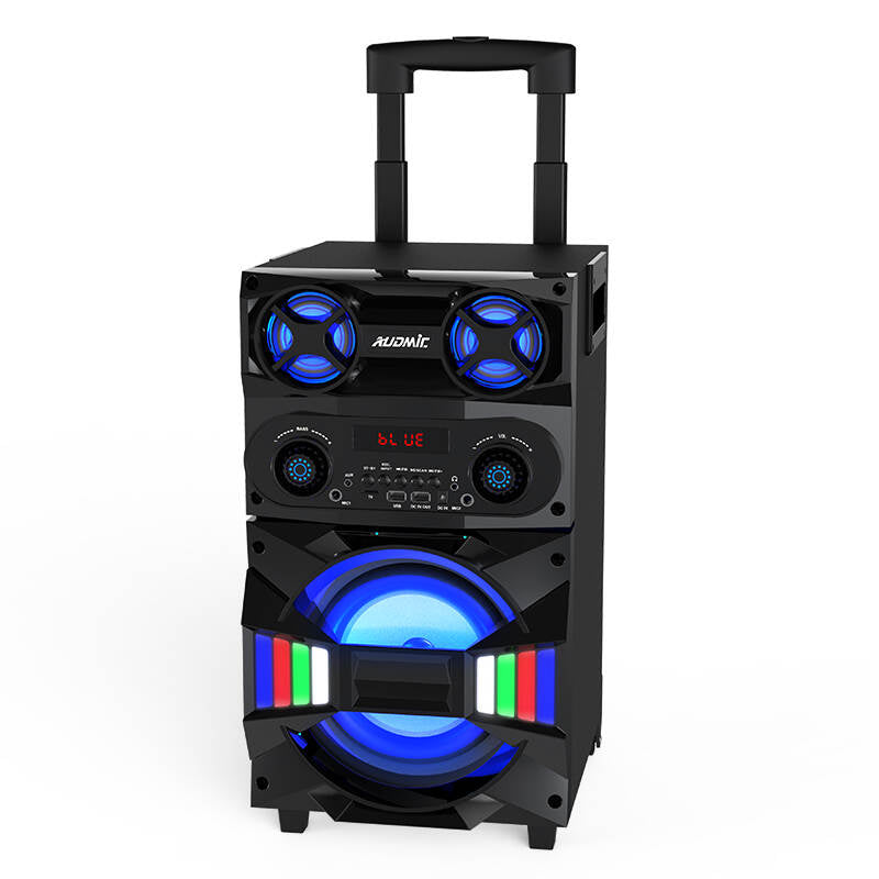 TL-8013 Hot selling big power heavy bass portable trolley party speaker outdoor wireless mic bluetooth subwoofer speaker