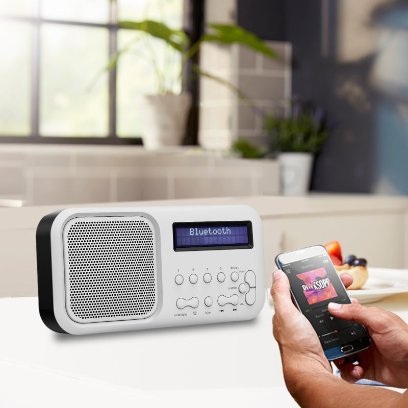 DB-101 Battery Powered AM/FM Pocket Portable Radio Emergency LED Flashlight DAB+ FM Radio With LCD Display DAB Radio