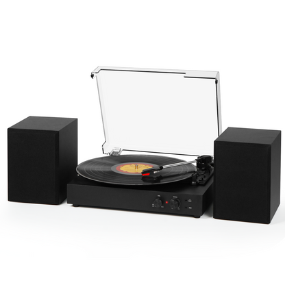 TE-5008 Retro Turntable Player