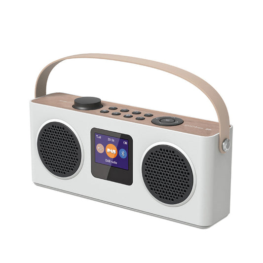Modern Design Multifunctional Audio Portable FM and DAB Radio Portable Wireless Speaker with BT/USB/TF Music Streaming